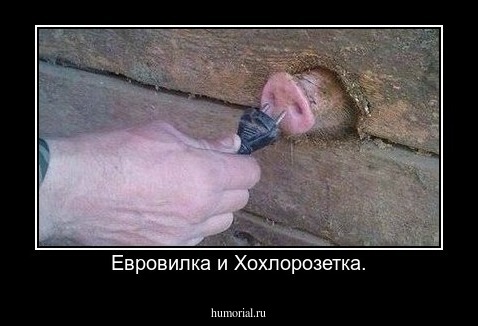 Евровилка и Хохлорозетка.