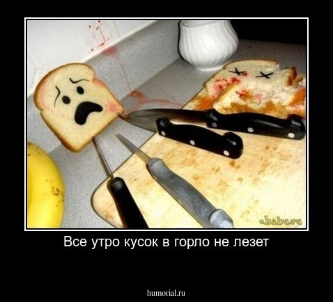 Все утро кусок в горло не лезет
