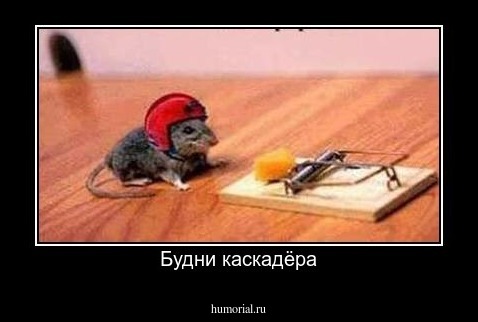 Будни каскадёра