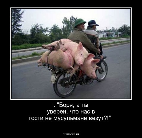  : "Боря, а ты уверен, что нас в гости не мусульмане везут?!"