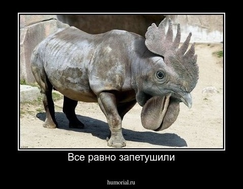 Все равно запетушили