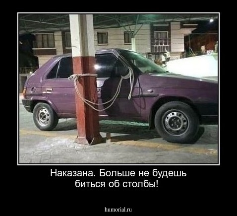 Наказана. Больше не будешь биться об столбы!