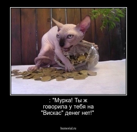  : "Мурка! Ты ж говорила у тебя на "Вискас" денег нет!"