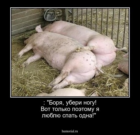  : "Боря, убери ногу! Вот только поэтому я люблю спать одна!"