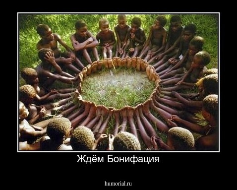 Ждём Бонифация