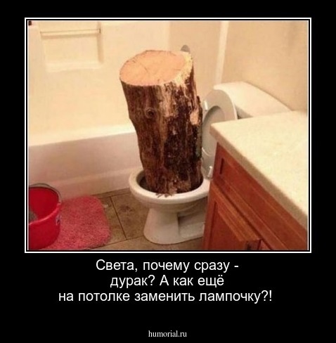 Света, почему сразу - дурак?  А как ещё на потолке  заменить лампочку?!