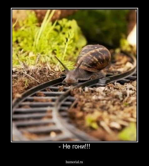 - Не гони!!!