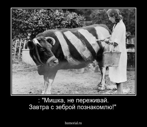 : "Мишка, не переживай. Завтра с зеброй познакомлю!"