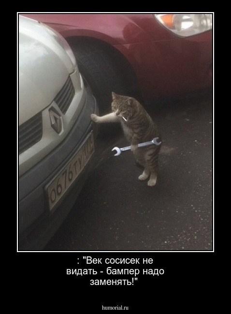 : "Век сосисек не видать - бампер надо заменять!"