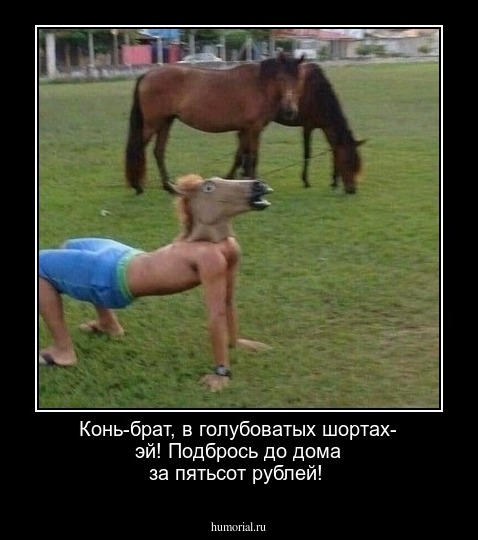 Конь-брат, в голубоватых шортах- эй! Подбрось до дома за пятьсот рублей!