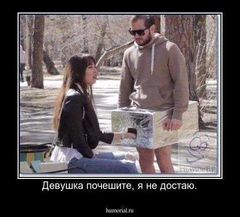 Девушка почешите, я не достаю.