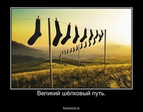  Великий шёлковый путь.