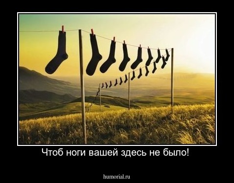 Чтоб ноги вашей здесь не было! 