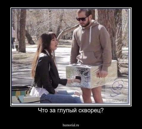 Что за глупый скворец?