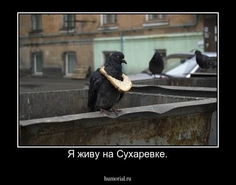 Я живу на Сухаревке.