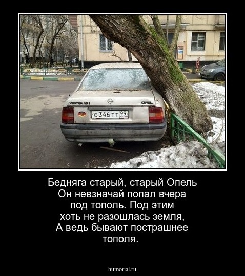 Бедняга старый, старый Опель
Он невзначай попал вчера под тополь.
Под этим хоть не разошлась земля,
А ведь бывают пострашнее тополя.