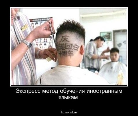 Экспресс метод обучения иностранным языкам