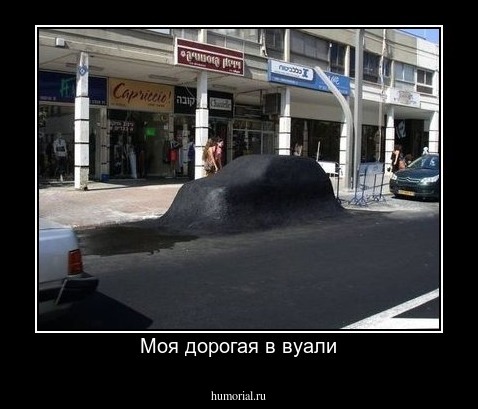 Моя дорогая в вуали