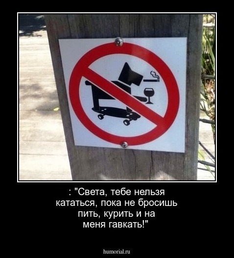  : "Света, тебе нельзя кататься, пока не бросишь пить, курить и на меня гавкать!"