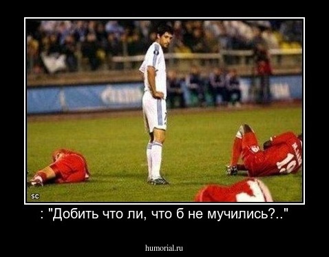 : "Добить что ли, что б не мучились?.."