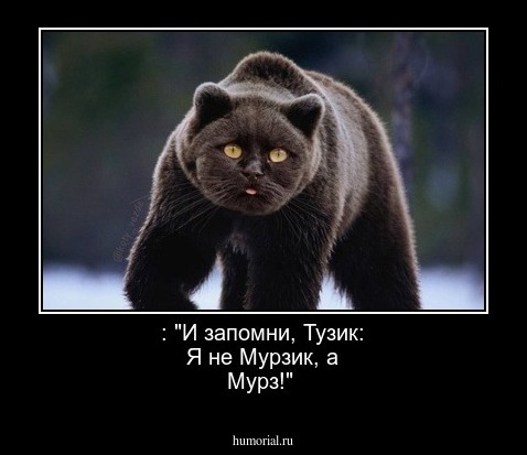 : "И запомни, Тузик: Я не Мурзик, а Мурз!"