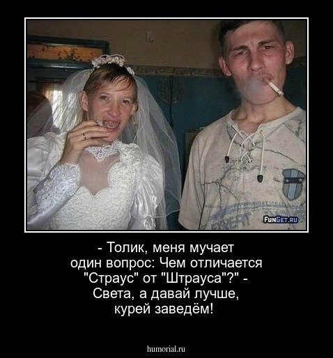 - Толик, меня мучает один вопрос: Чем отличается "Страус" от "Штрауса"?" - Света, а давай лучше, курей заведём!