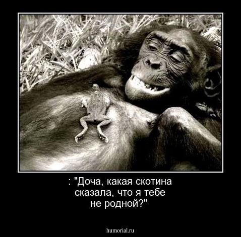  : "Доча, какая скотина сказала, что я тебе не родной?"
