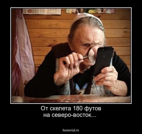  От скелета 180 футов на северо-восток...