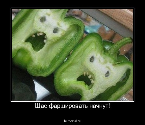 Щас фаршировать начнут!