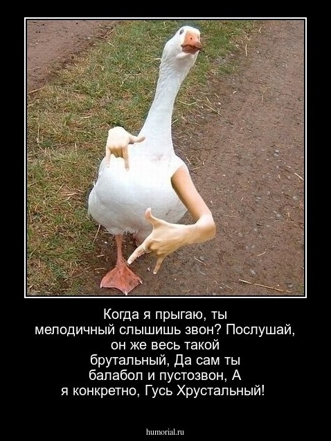 Когда я прыгаю, ты мелодичный слышишь звон?           Послушай, он же весь такой брутальный,             Да сам ты балабол и пустозвон,         А я конкретно, Гусь Хрустальный!