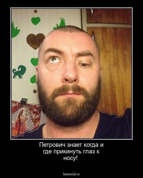 Петрович знает когда и где прикинуть глаз к носу!