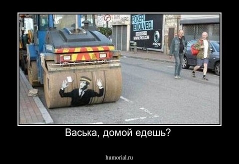 Васька, домой едешь? 
