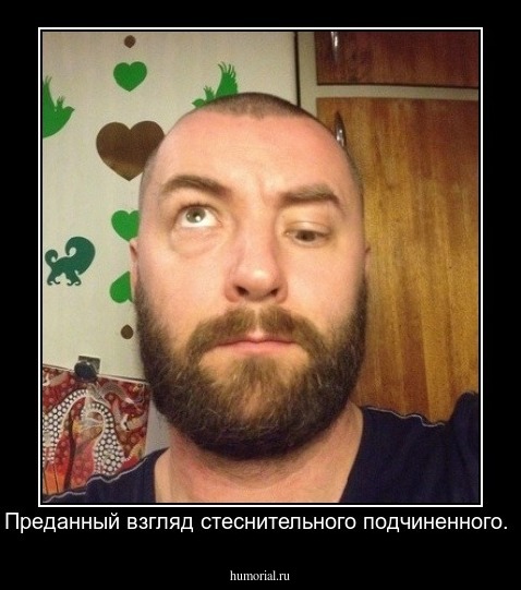 Преданный взгляд стеснительного подчиненного.