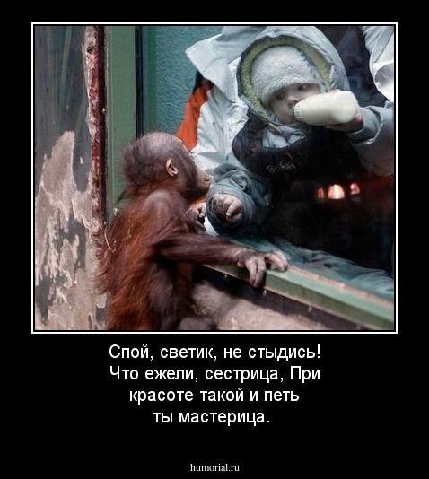 Спой, светик, не стыдись!
Что ежели, сестрица,
При красоте такой и петь ты мастерица.