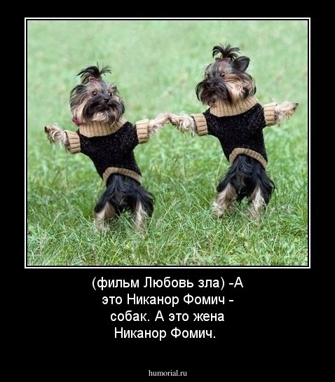 (фильм Любовь зла) 
-А это Никанор Фомич - собак. А это жена Никанор Фомич.  