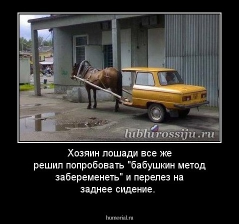 Хозяин лошади все же решил попробовать "бабушкин метод забеременеть" и перелез на заднее сидение. 