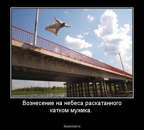 Вознесение на небеса раскатанного катком мужика.