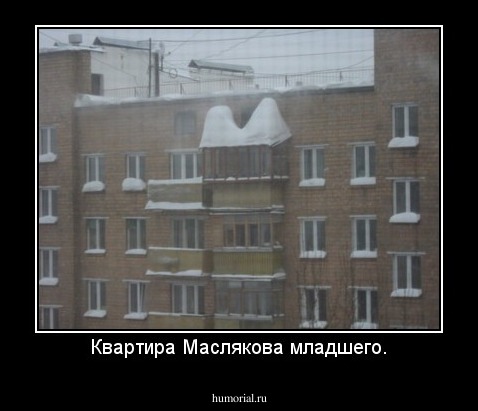 Квартира Маслякова младшего.