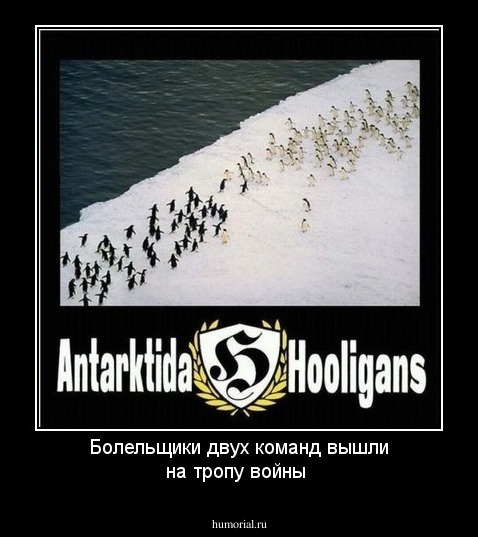 Болельщики двух команд вышли на тропу войны