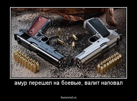амур перешел на боевые, валит наповал