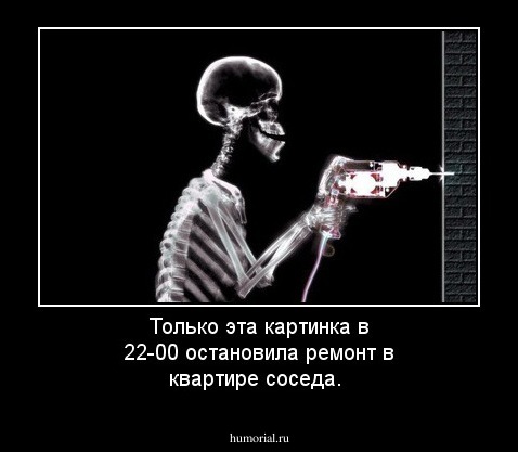 Только эта картинка в 22-00 остановила  ремонт в квартире соседа.