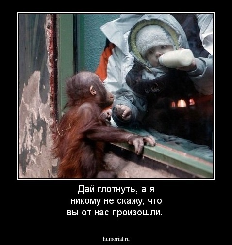 Дай глотнуть, а я никому не скажу, что вы от нас произошли.