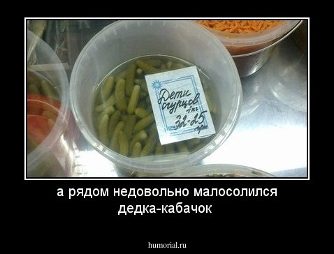 а рядом недовольно малосолился дедка-кабачок
