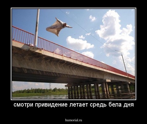 смотри привидение летает средь бела дня
