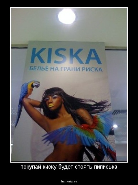покупай киску будет стоять пиписька