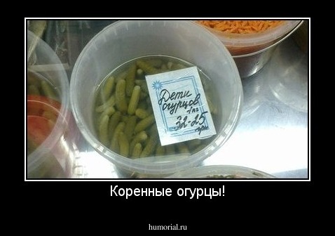 Коренные огурцы!