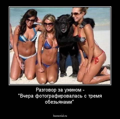Разговор за ужином - "Вчера фотографировалась с тремя обезьянами"