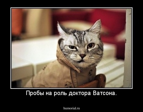 Пробы на роль доктора Ватсона.