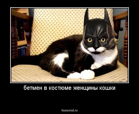 бетмен в костюме женщины кошки
