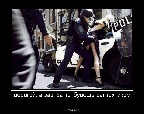 дорогой, а завтра ты будешь сантехником
